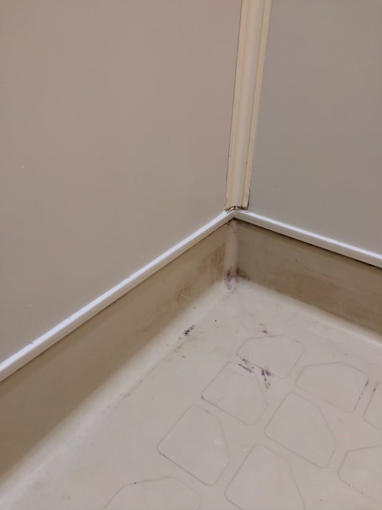 浴室パネル　工事前