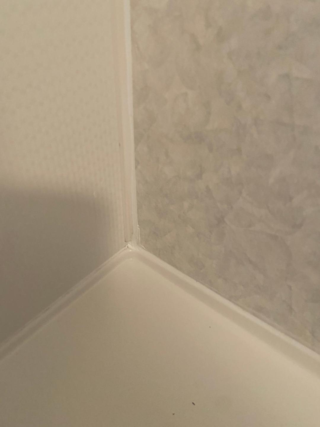 浴室錆ふくらみリペア前