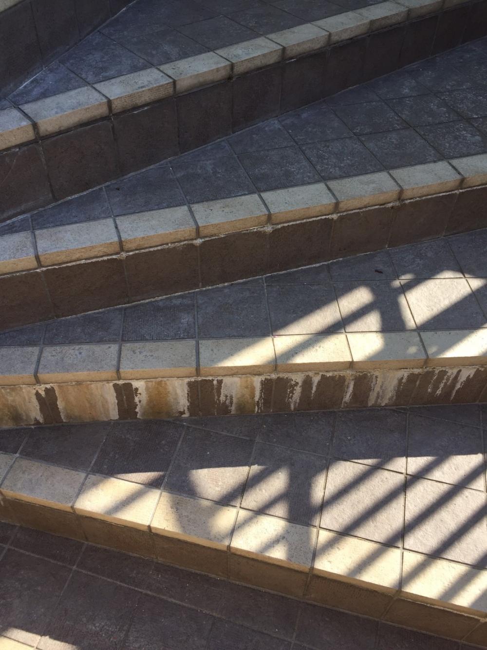 image_1