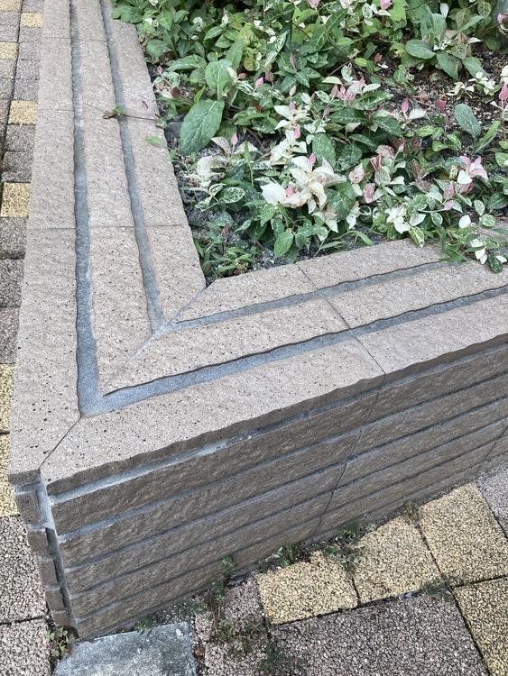 タイル欠けリペア前