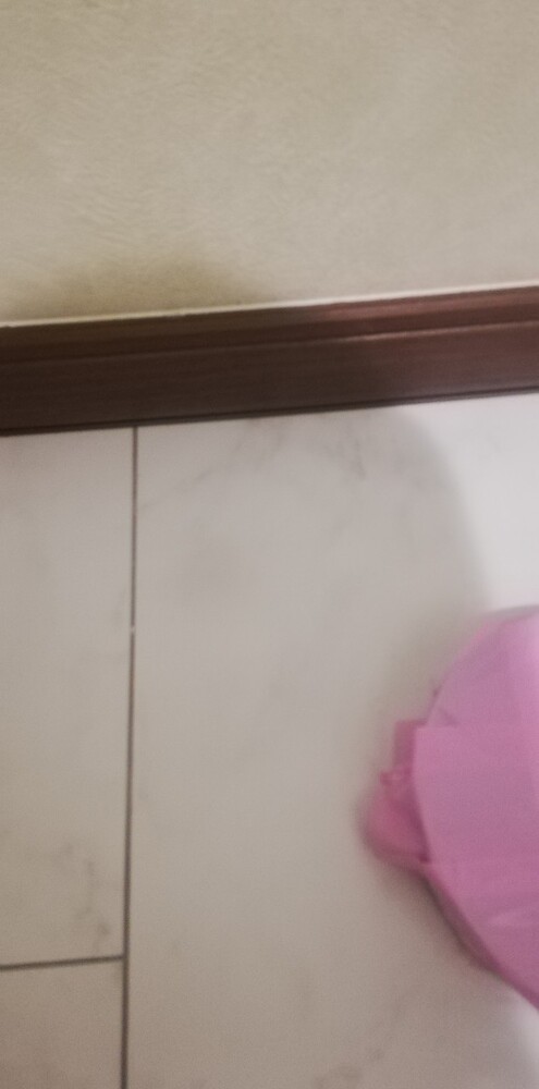 サニタリーフロアビス穴補修前