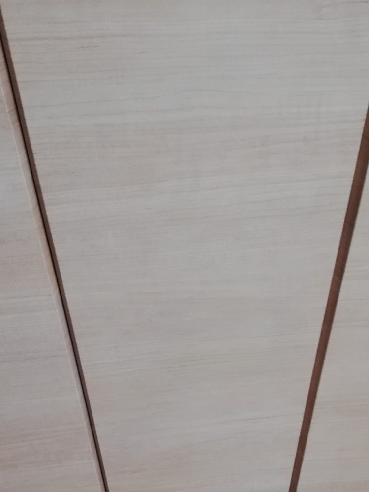 扉に穴を空けてしまった…！室内建具の大陥没補修前