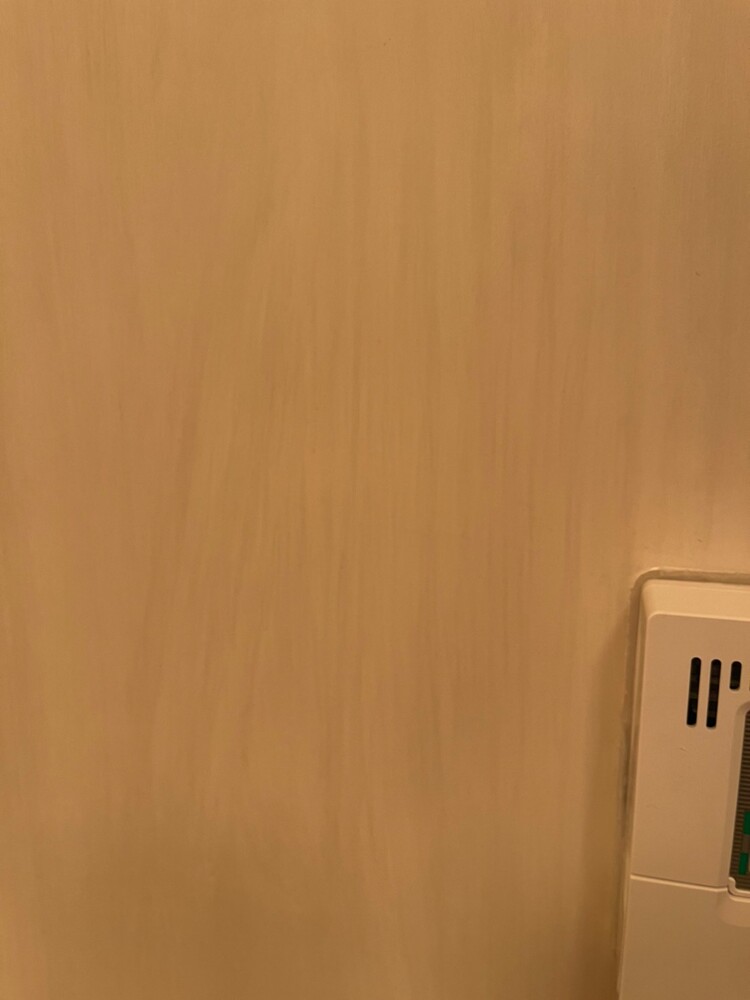 浴室パネルクリア剥がれ補修前