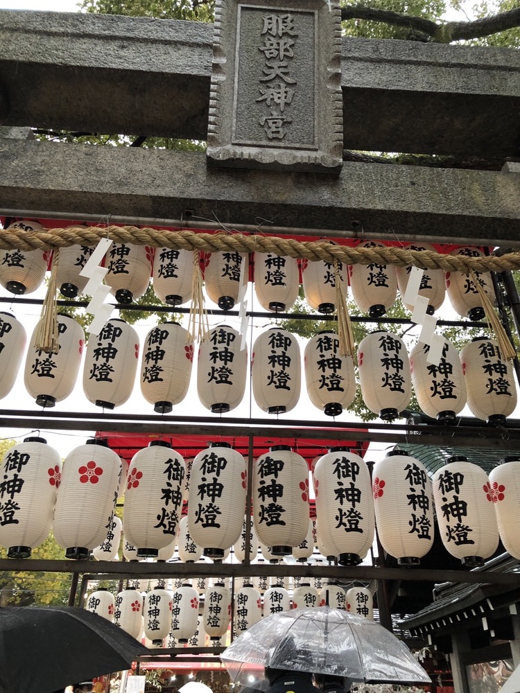 image_1