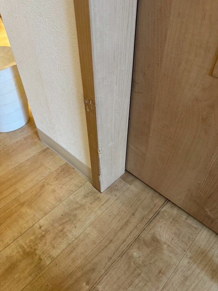 image_8